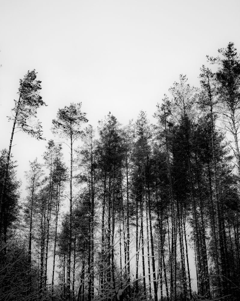 Photograph by Роман Павлов