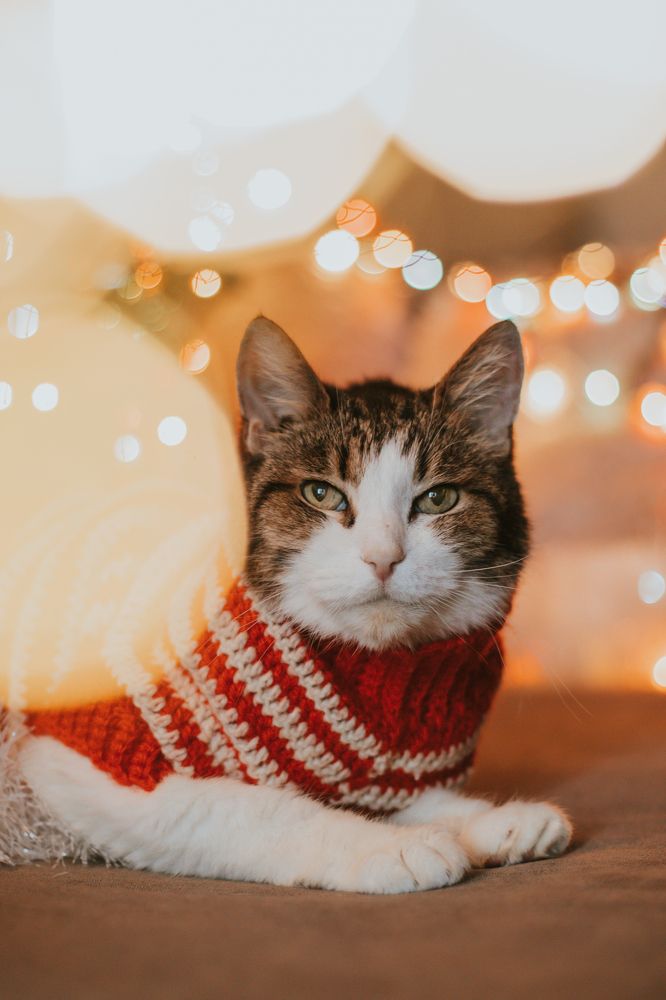 Photograph by Екатерина Алексеева