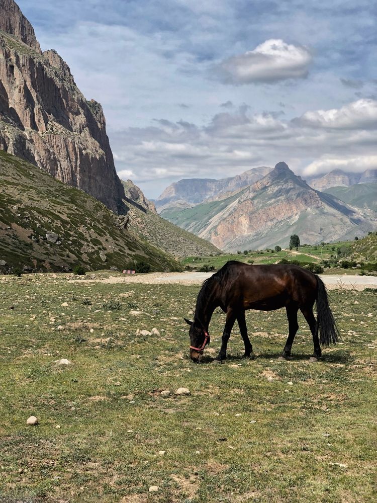 Photograph by Людмила Евстратова