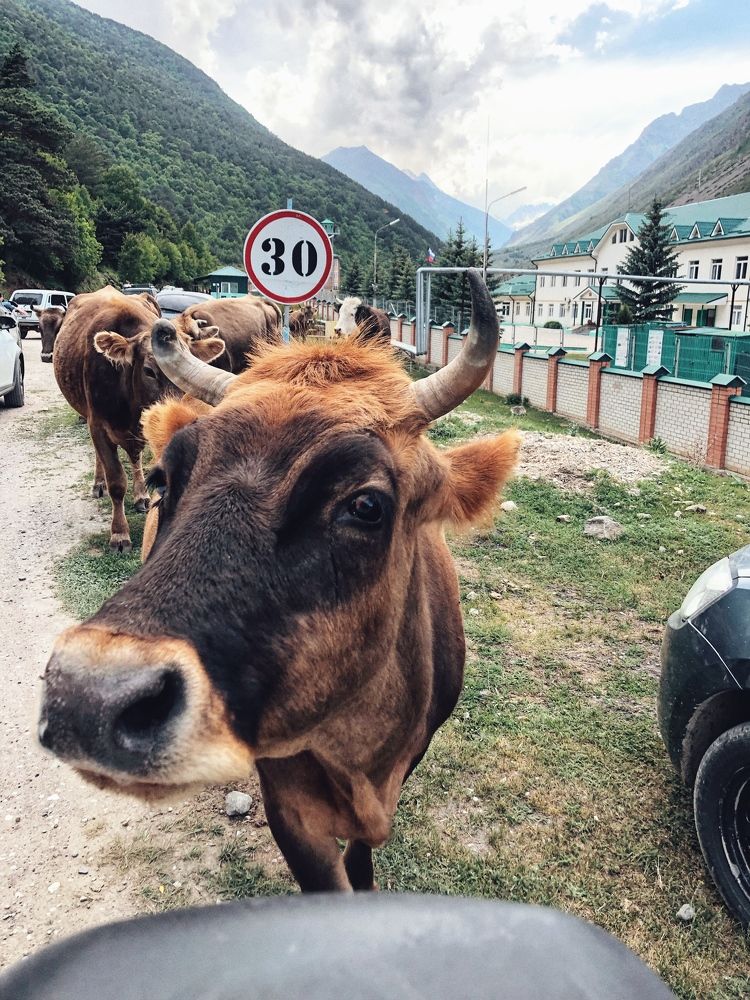 Photograph by Людмила Евстратова