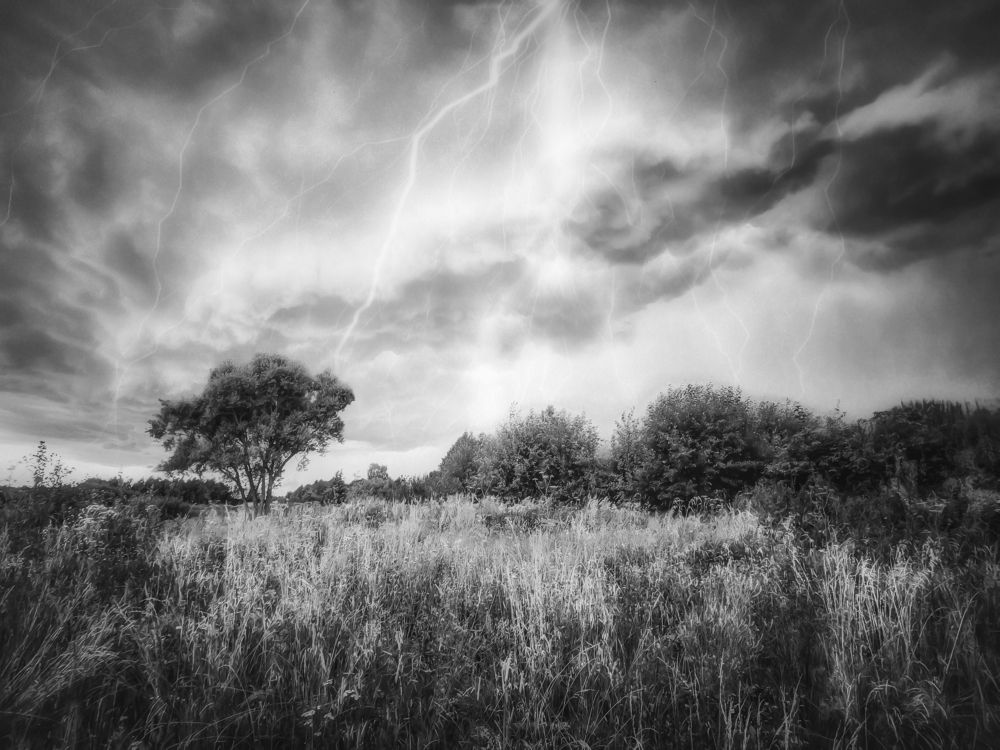 Photograph by Snails Big