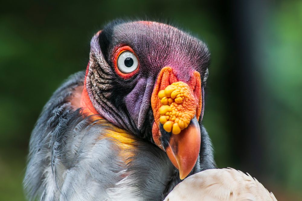 Photograph by Jorge Ivan Vasquez