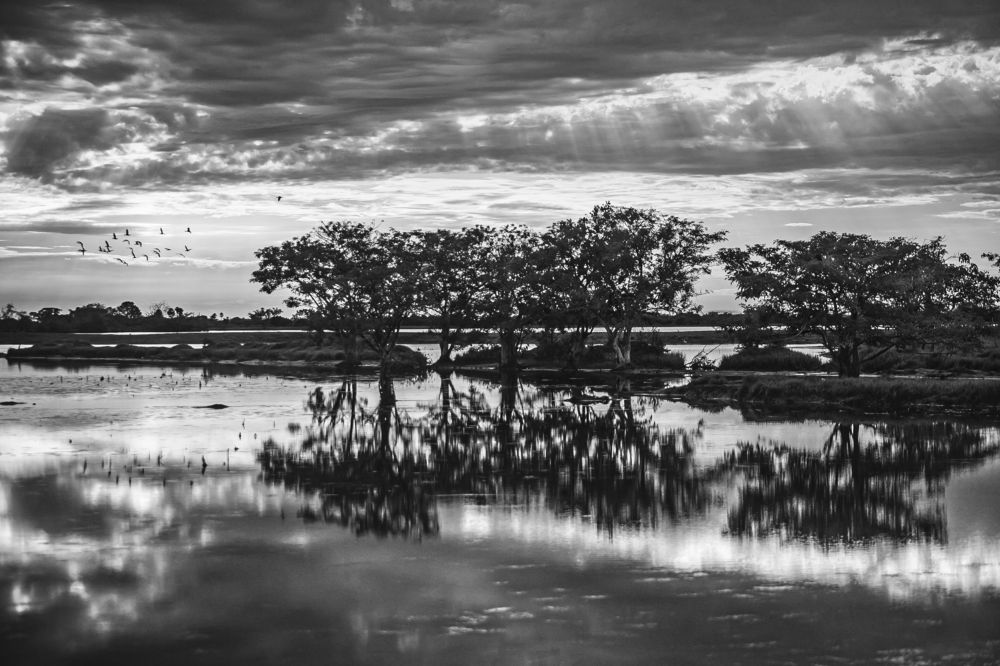 Photograph by Jorge Ivan Vasquez