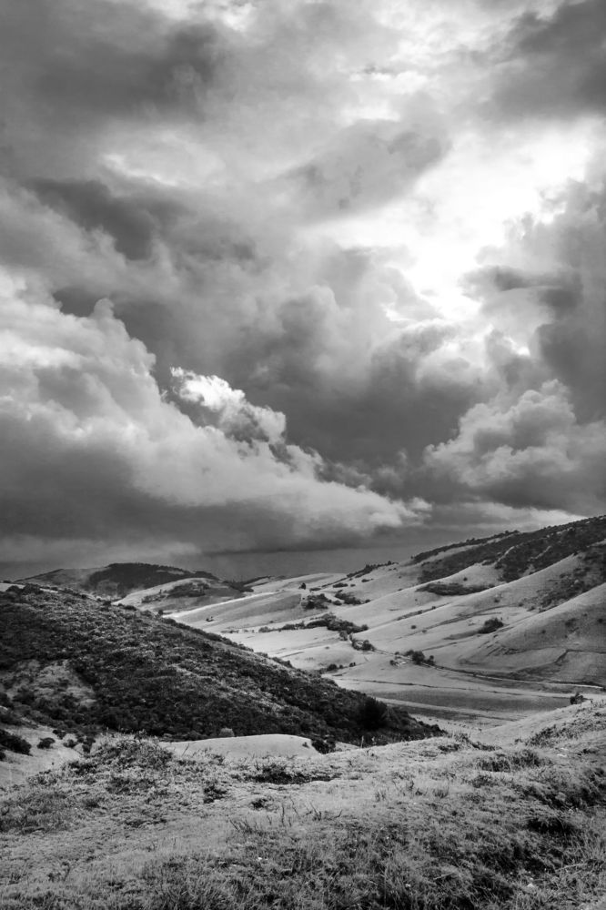 Photograph by Jorge Ivan Vasquez