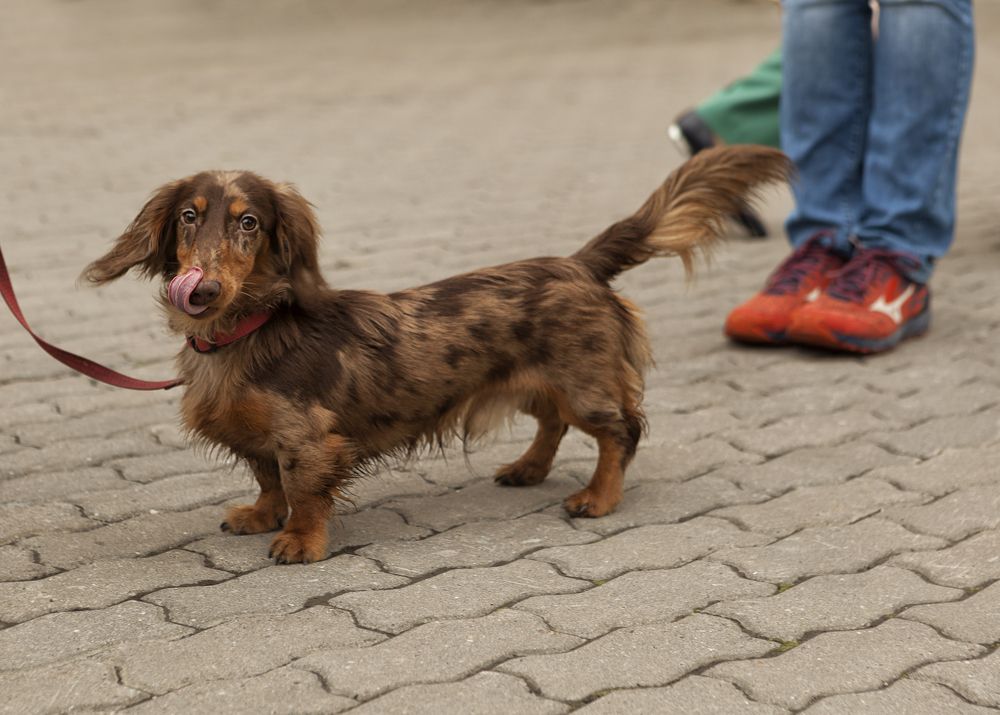 Фотография автора Лариса Кисурина