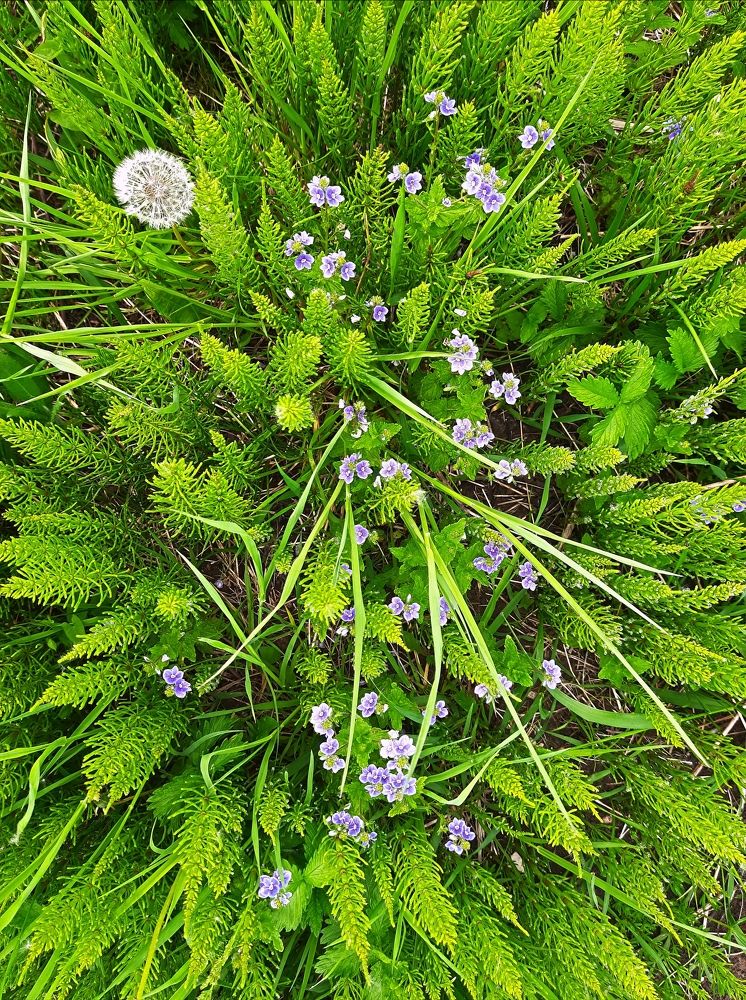 Photograph by Денис Геранькин