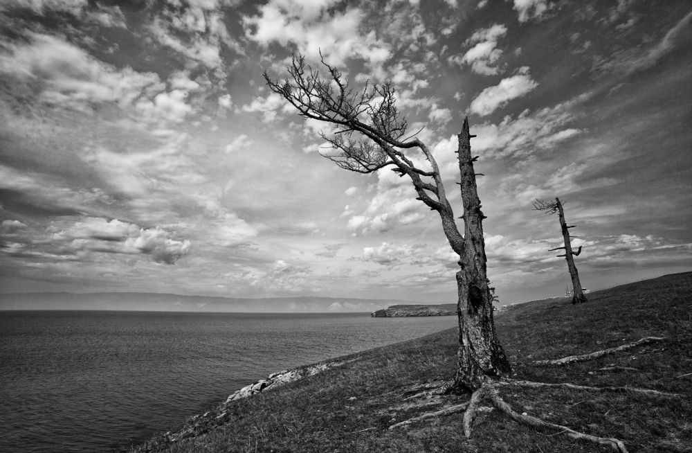 Фотография автора Лариса Кисурина