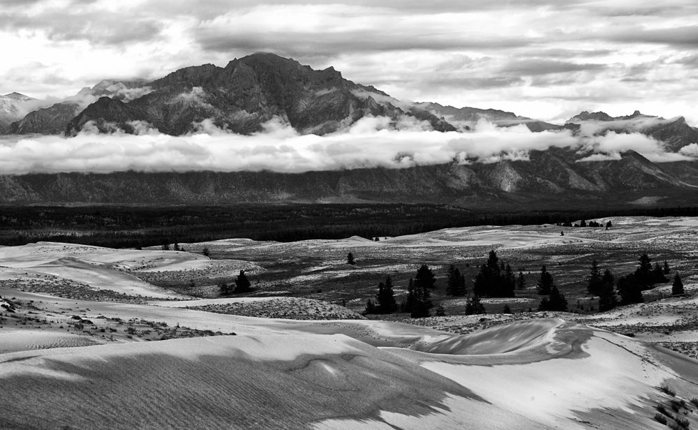 Фотография автора Лариса Кисурина