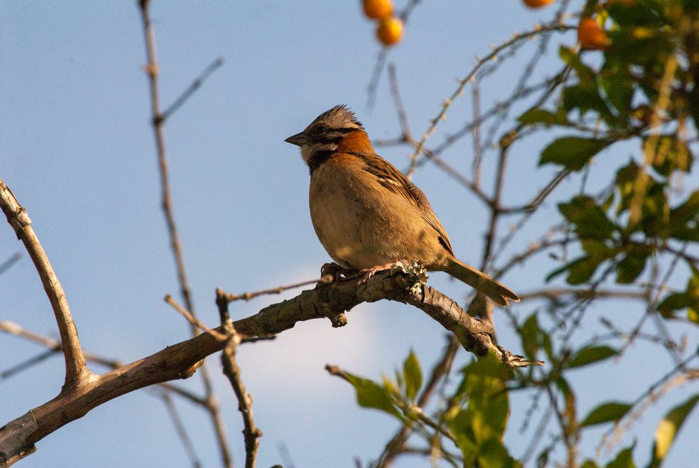 Photograph by Juan José Rodas