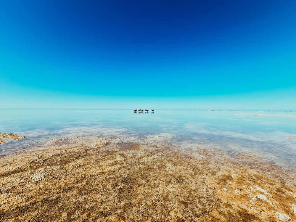 Photograph by Инна Федорова