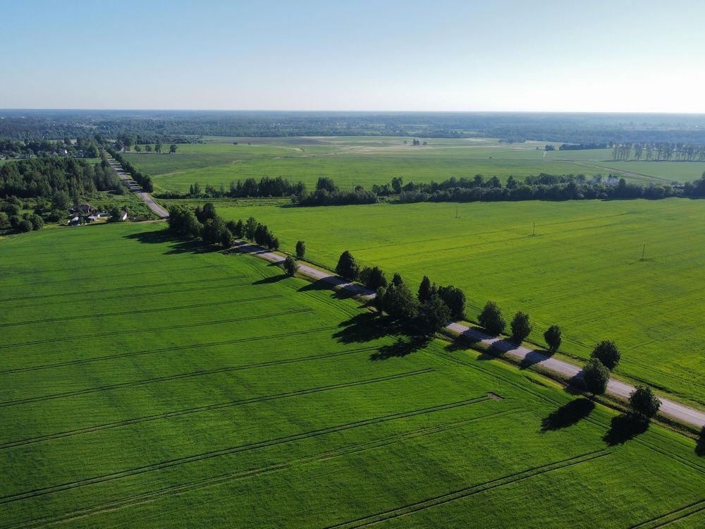 Photograph by Андрей Нурулин