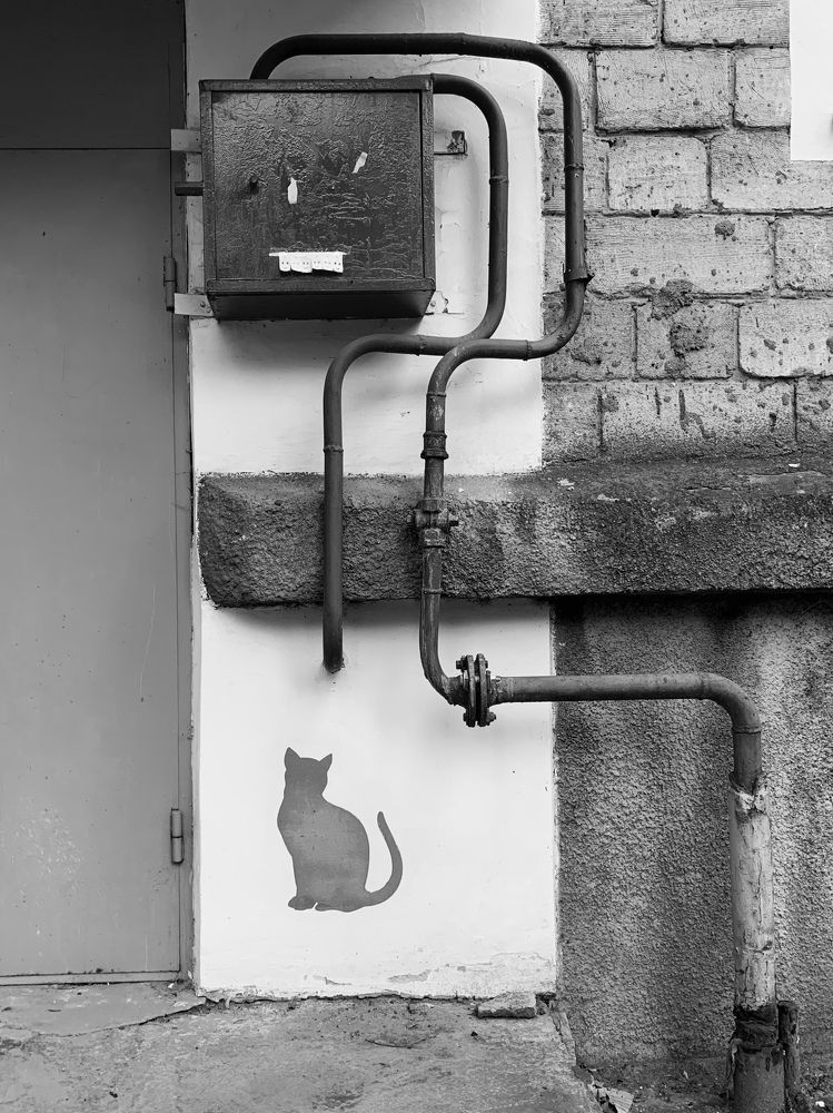 Джильсомино