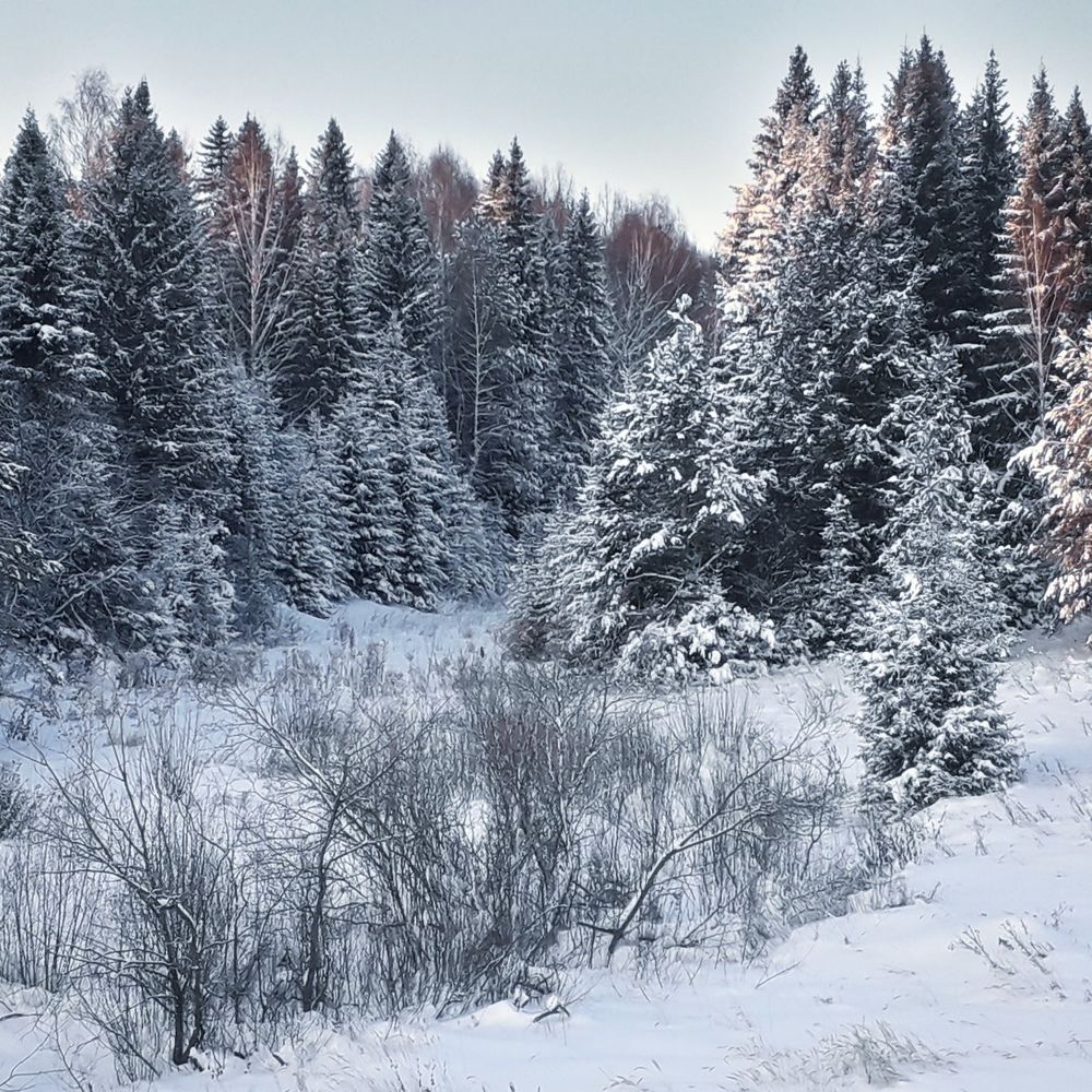Photograph by Tatyana Busorgina