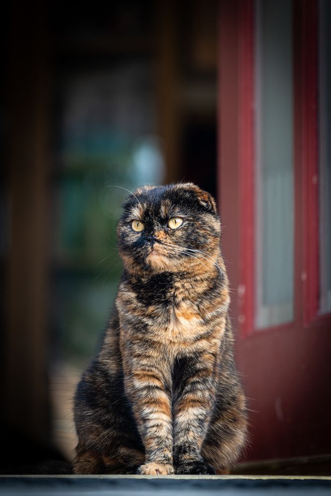 Photograph by Артур Каханский