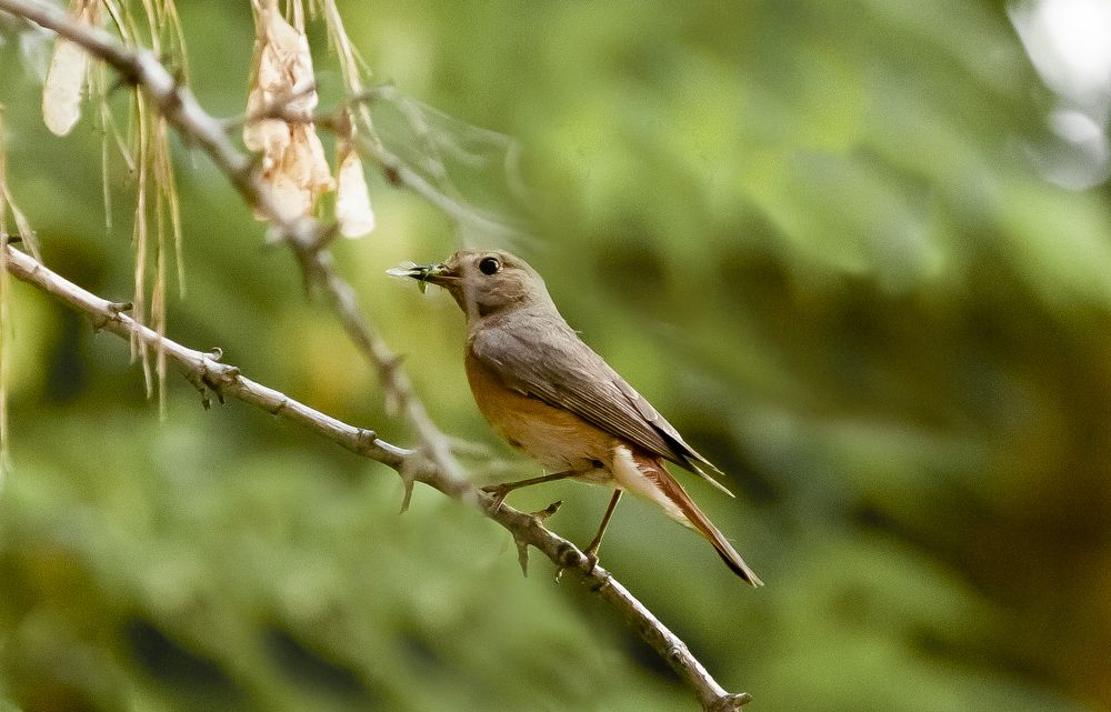 Photograph by Сергей Балухта