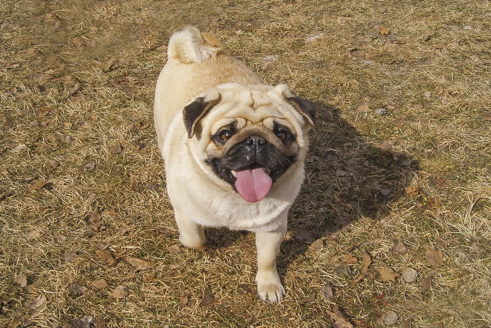 Photograph by Екатерина Бахтинова