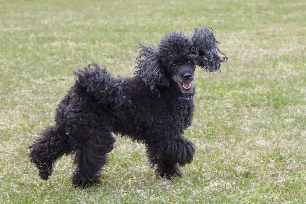 Photograph by Наталья Катюжанская