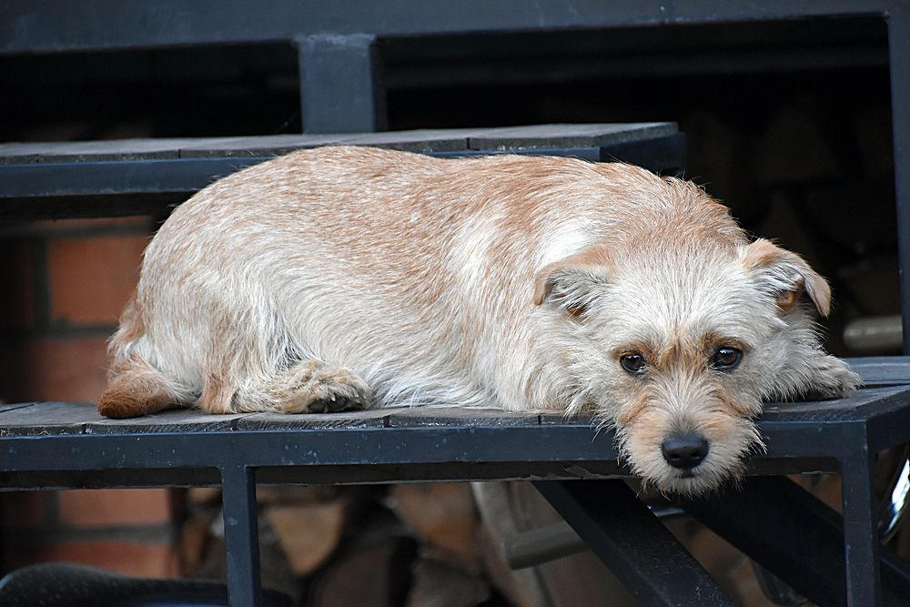 Photograph by Владимир Воложинский