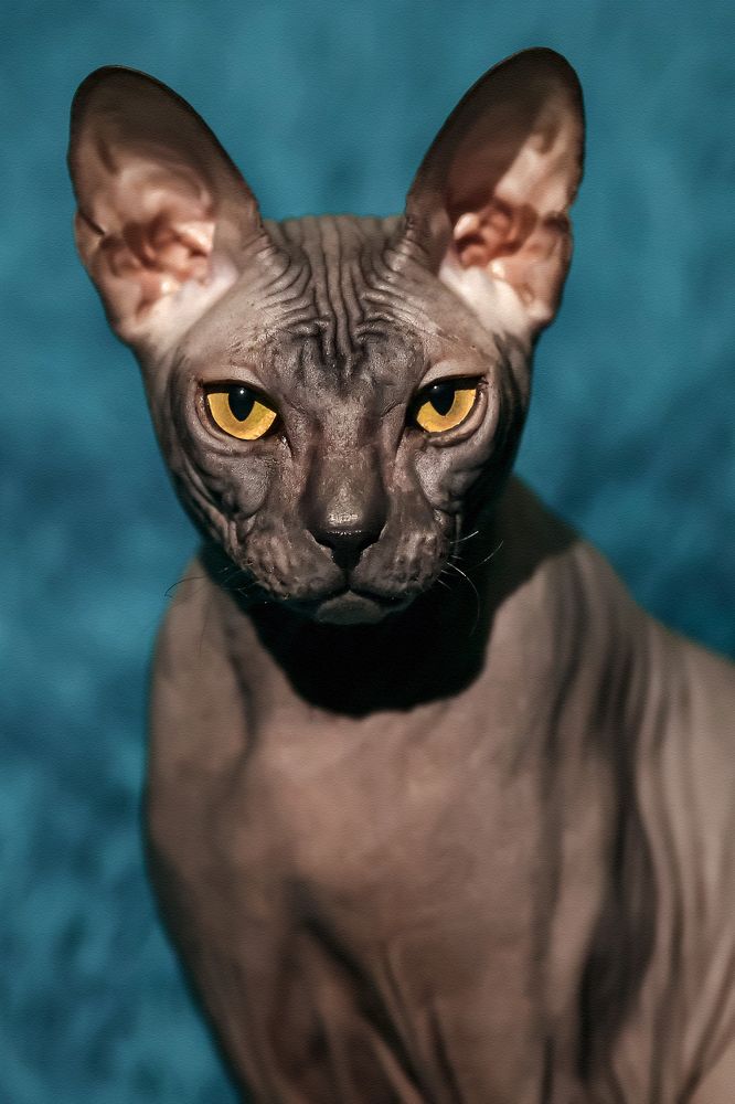 Photograph by Алина Рассохина