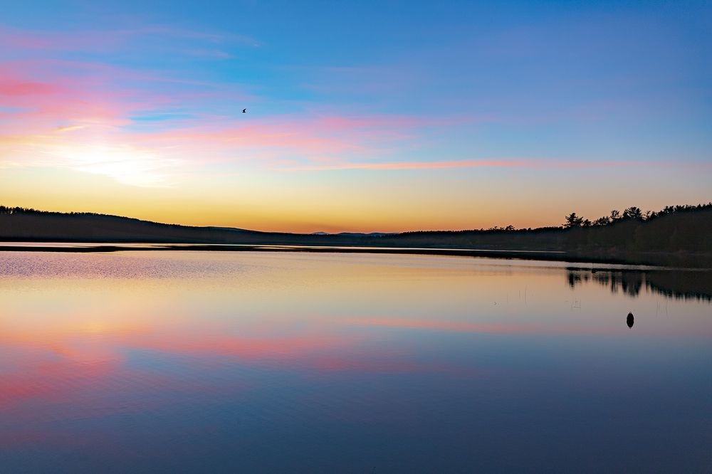 Фотография автора Лариса Корсакова