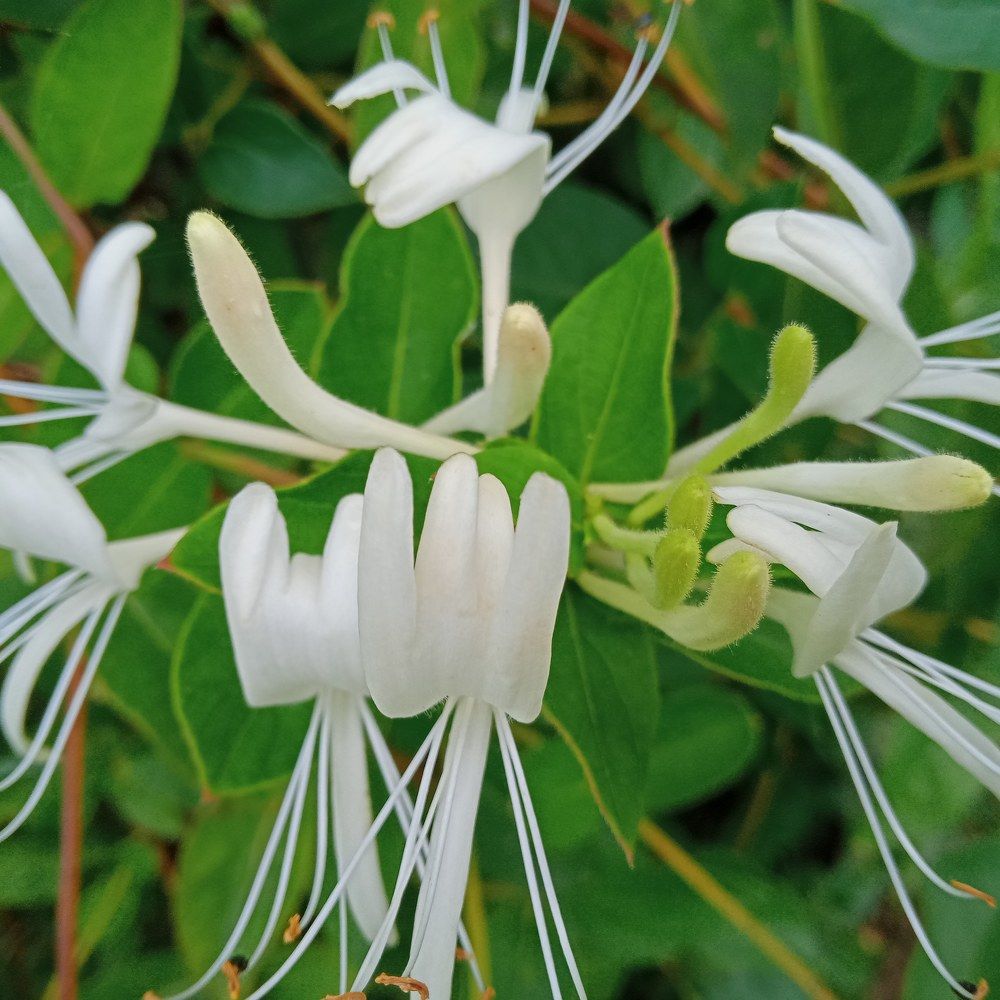 Photograph by Marijana Dragosavljevic