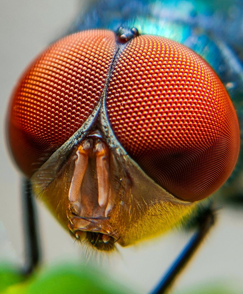 Photograph by Ajeesh A