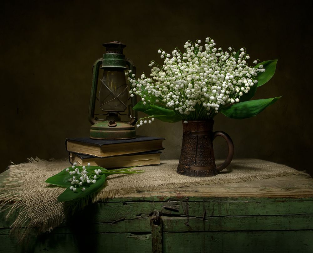 Photograph by 