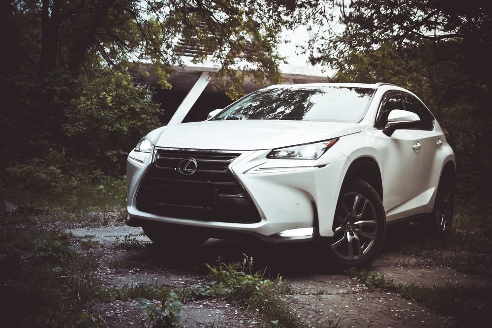 Photograph by ANTON KHOMENKO