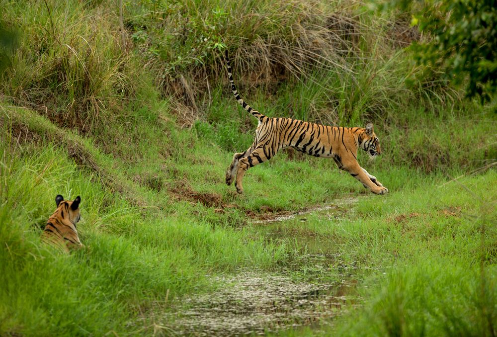 Photograph by SaiKiran Bhagavatula