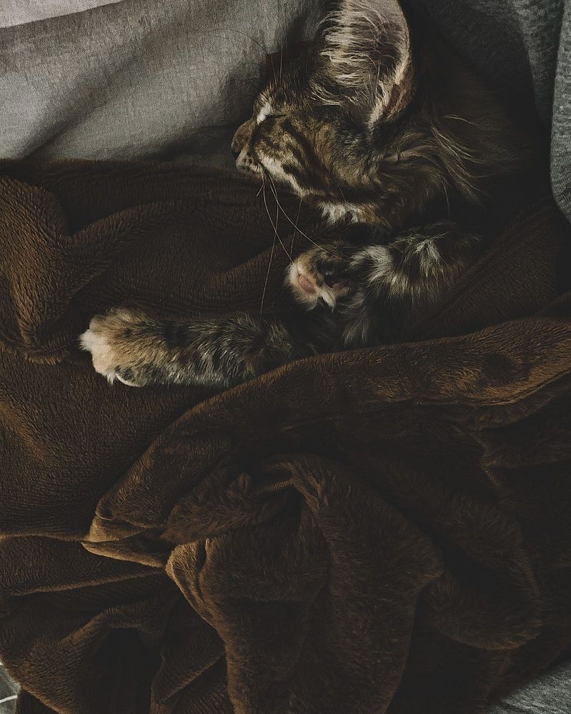 Photograph by Юлия Чиклеева