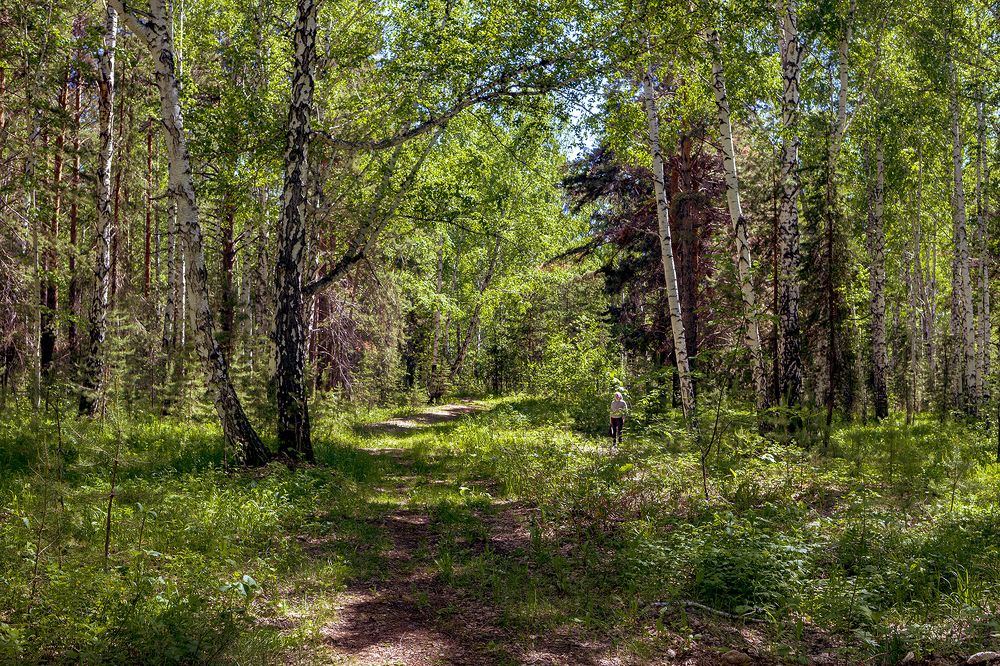 Фотография автора Лариса Корсакова