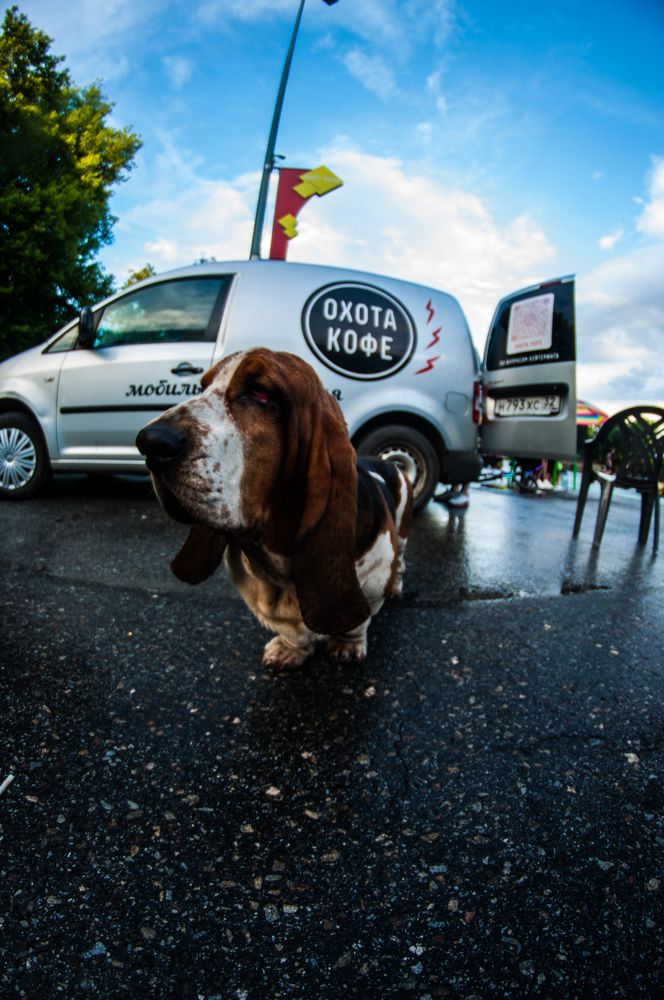 Photograph by Сергей Золотоверхий