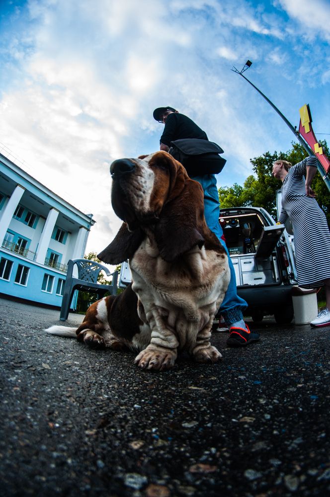 Photograph by Сергей Золотоверхий