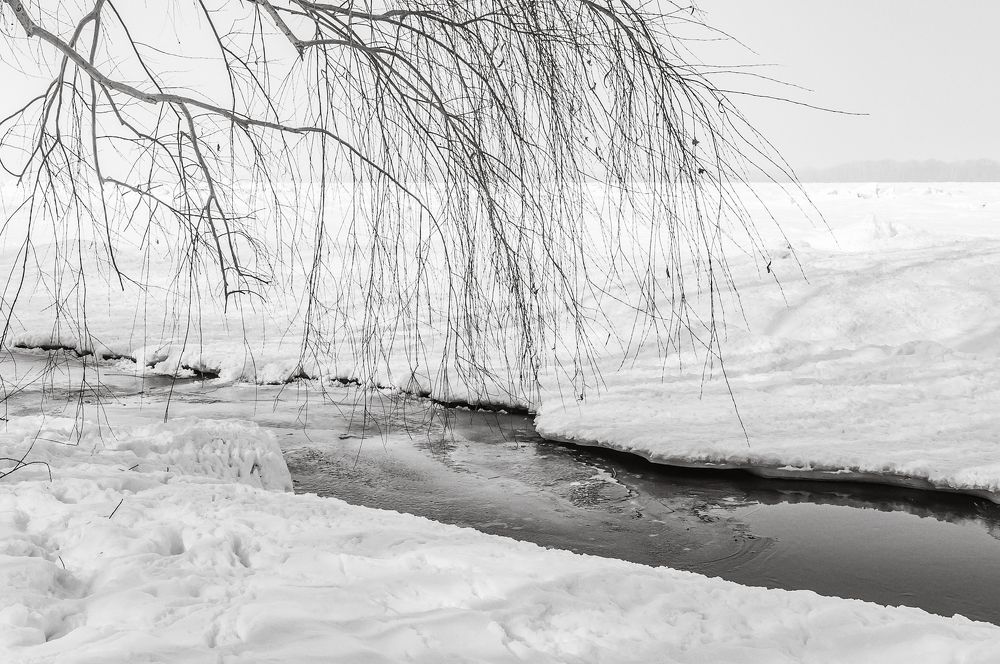 Фотография автора Андрей Бармашов