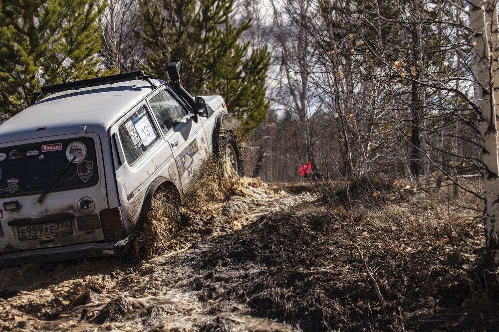 Фотография автора Лариса Корсакова