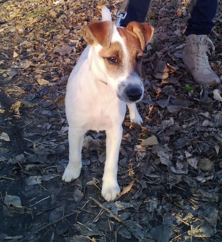 Photograph by Камилла