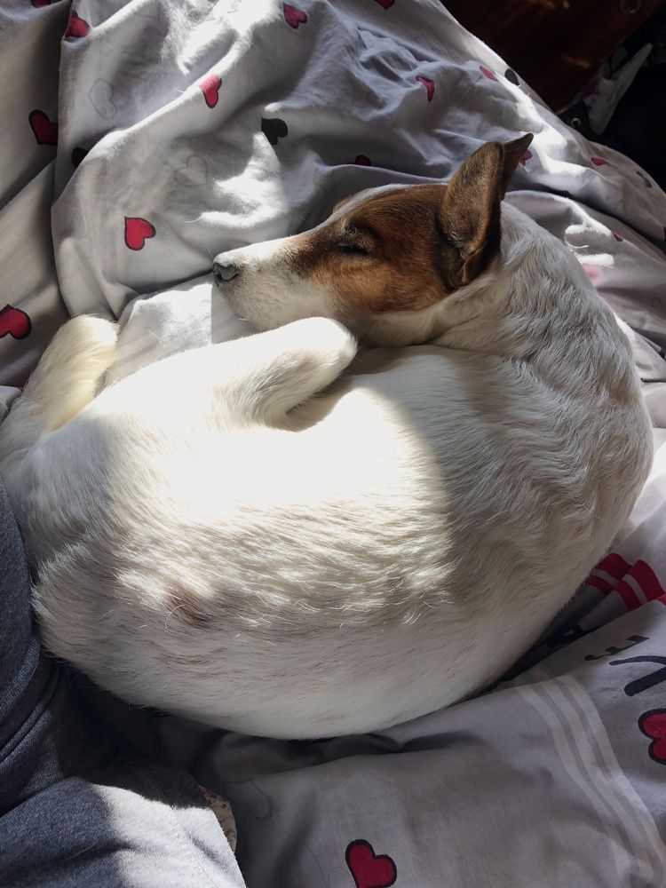 Photograph by Камилла