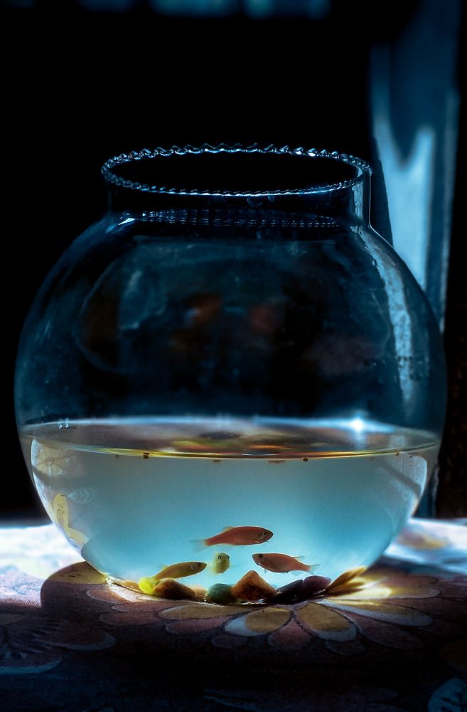 Photograph by Sudipta Sadhukhan