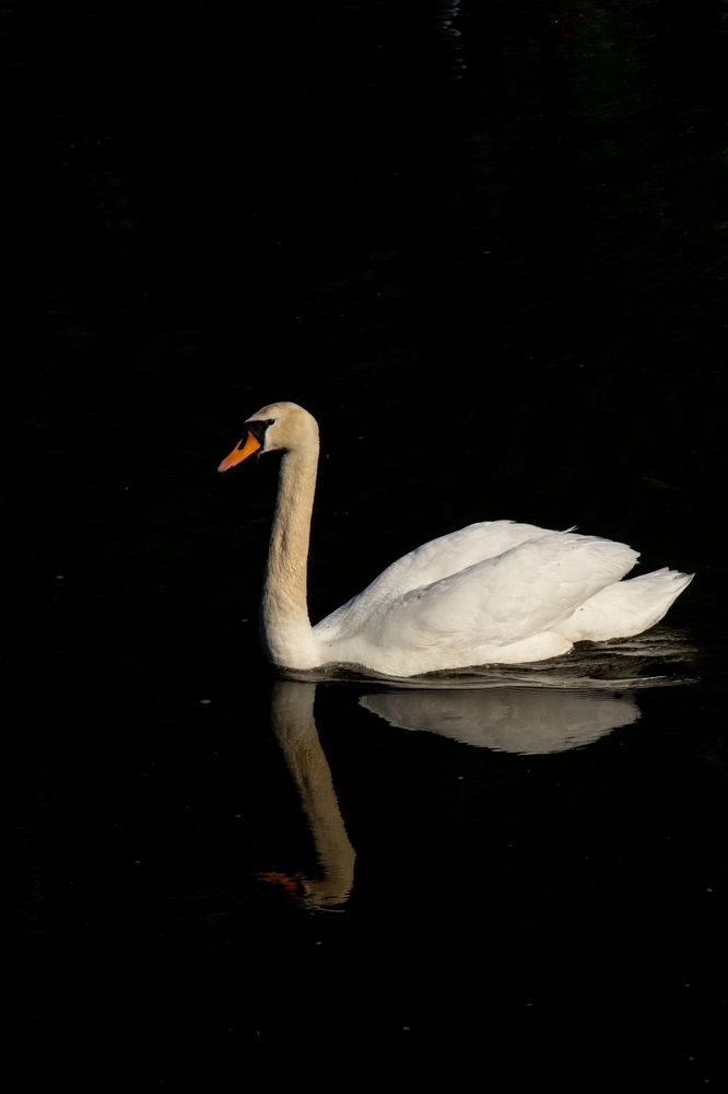 Photograph by Olga Gantman