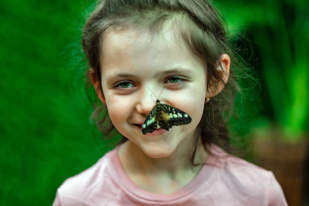 Фотография автора Лариса Корсакова