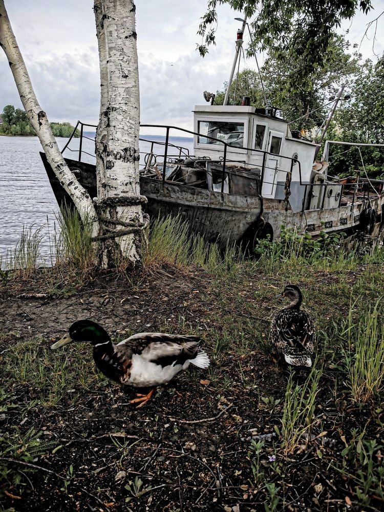 Деревенские зарисовки.