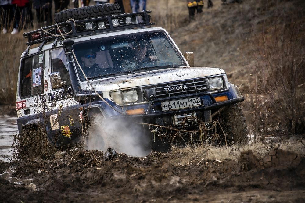 Фотография автора Лариса Корсакова