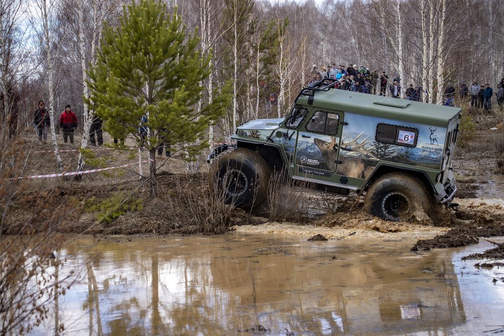 Фотография автора Лариса Корсакова