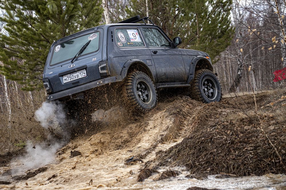 Фотография автора Лариса Корсакова