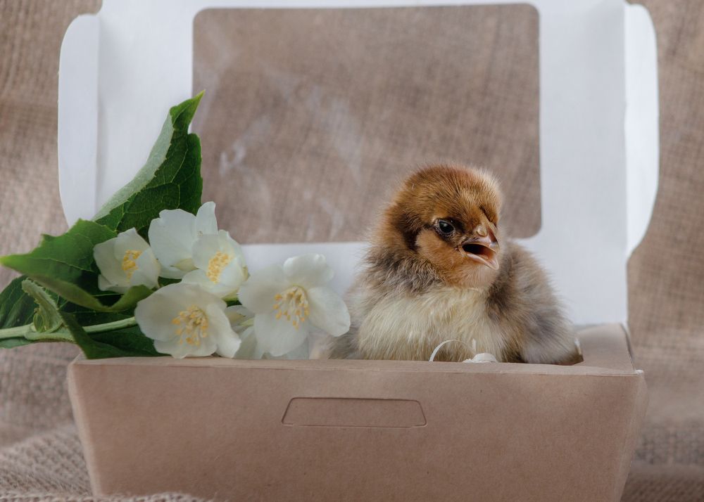 Photograph by Ольга Сергеенко