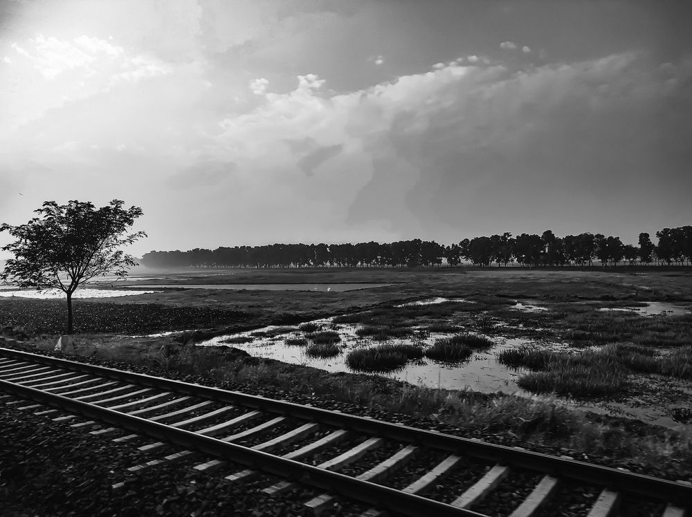 Photograph by Sudipta Sadhukhan