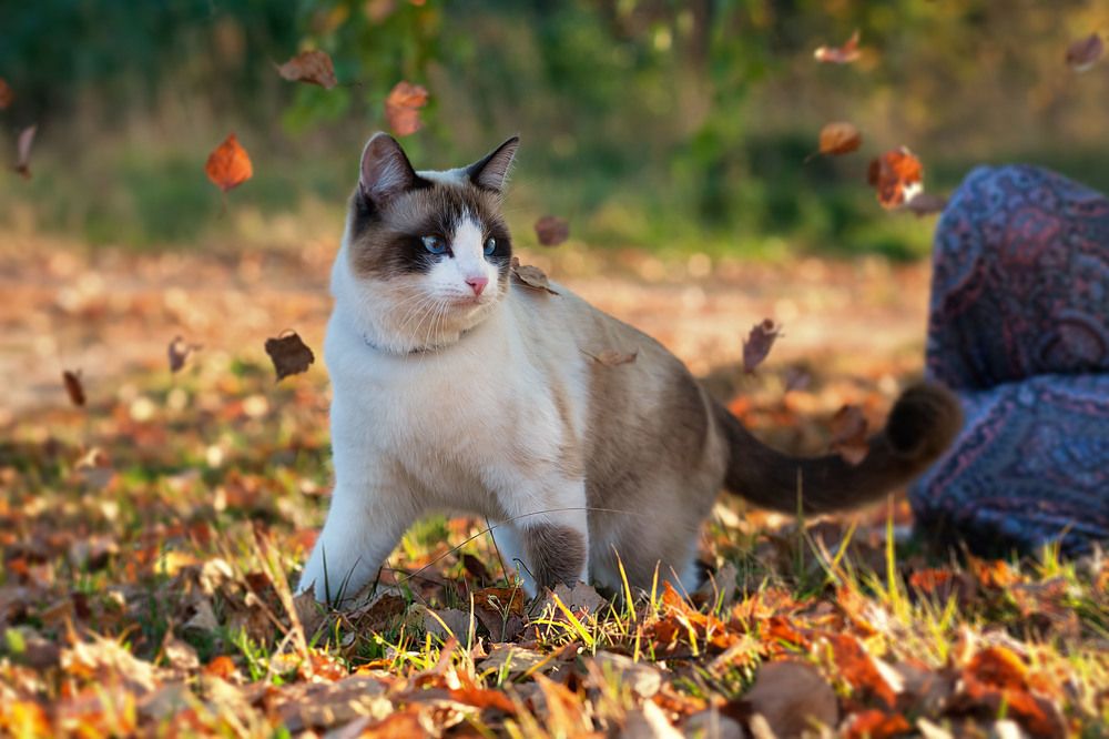 Фотография автора Кочетов Михаил