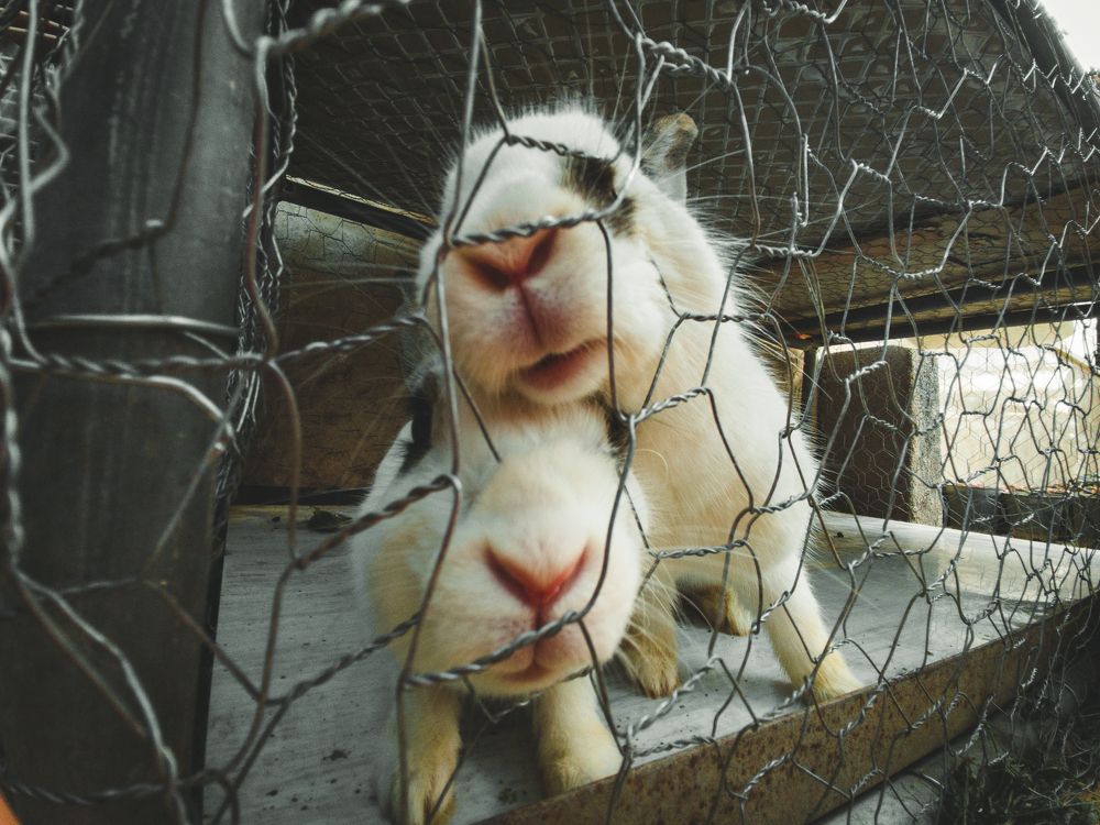 Photograph by mobin the abstract