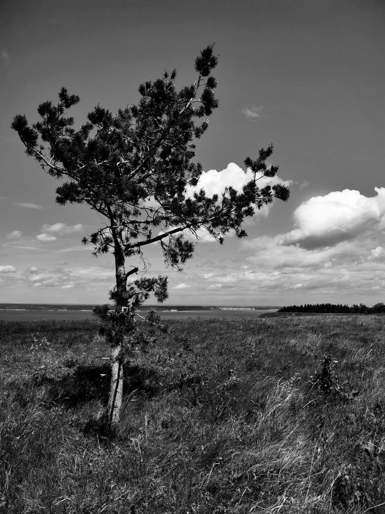 Photograph by Жанна Баннова