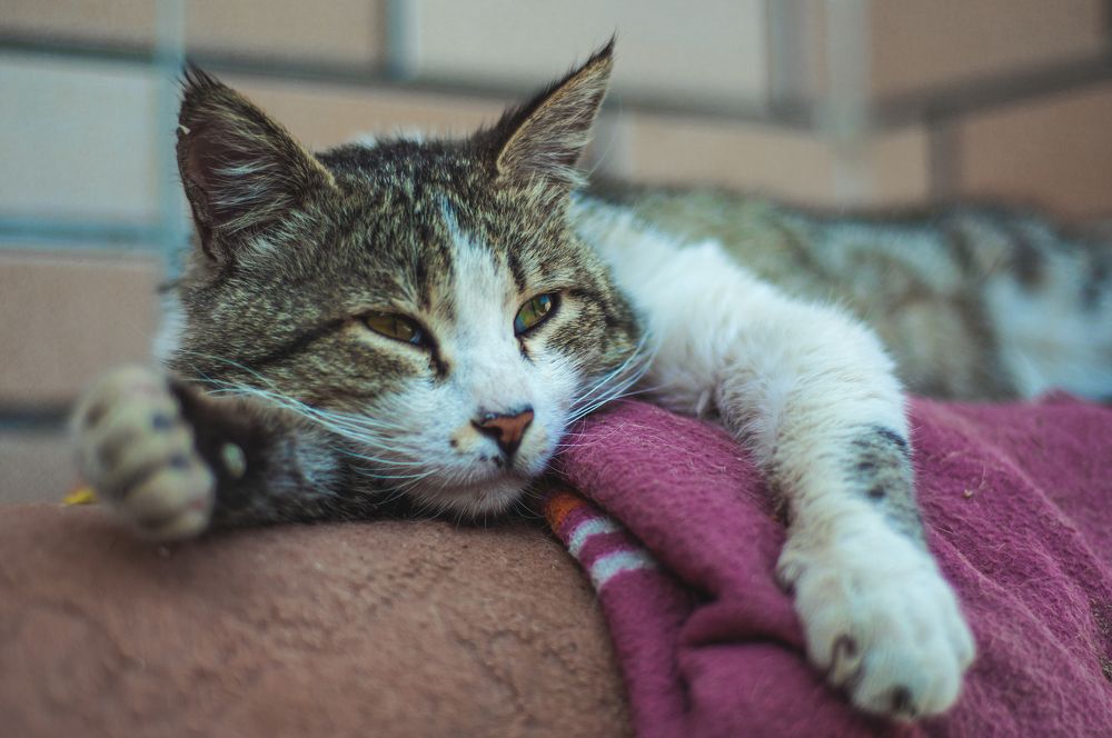 Photograph by mobin the abstract